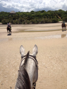 Praktika_Afrika_helfen_horse_riding2