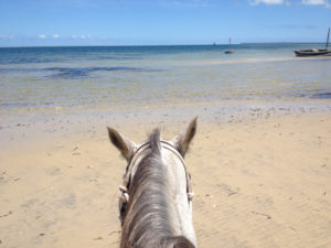 Praktika_Afrika_helfen_horse_riding_beach