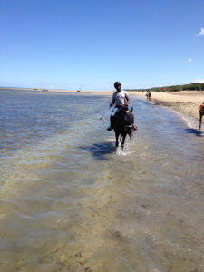 Praktika_Afrika_helfen_horse_riding_ocean