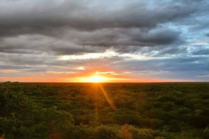 kululeku_Praktikum_Ausland_Afrika_helfen_Sunset_red_dunes