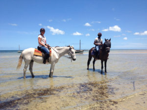 kululeku_horse_beach_02