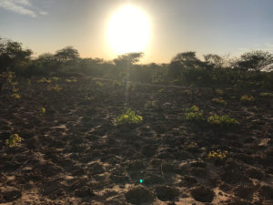 171121_kululeku_volunteering_027