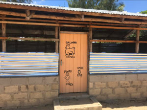 work_abroad_volunteer_Afrika_Africa_construction_work_Vilanculos_Mosambik_kululeku_chicken_house