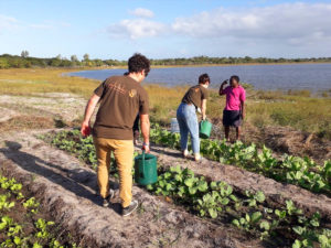 Freiwilligenarbeit_Afrika_Mosambik_kululeku_volunteering_farm