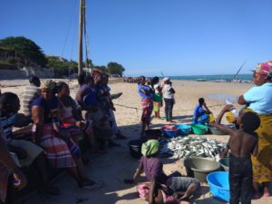 work_abroad_volunteer_Africa_Afrika_Mozambique_Mosambik_kululeku_beach